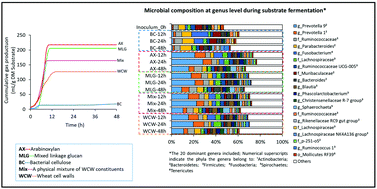 Graphical abstract: Wheat cell walls and constituent polysaccharides induce similar microbiota profiles upon in vitro fermentation despite different short chain fatty acid end-product levels