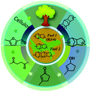 Graphical abstract: Producing methylcyclopentadiene dimer and trimer based high-performance jet fuels using 5-methyl furfural