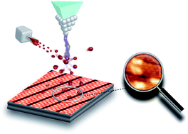 Graphical abstract: Tip-induced oxidation of silicene nano-ribbons