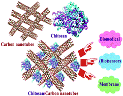 Graphical abstract: Chitosan/carbon nanotube hybrids: recent progress and achievements for industrial applications