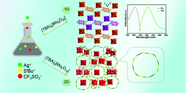 Graphical abstract: Self-assembly of thiolate-protected silver coordination polymers regulated by POMs