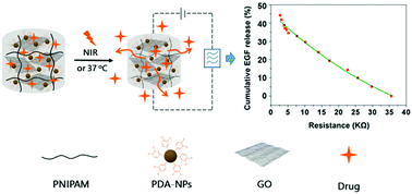 Graphical abstract: Temperature/near-infrared light-responsive conductive hydrogels for controlled drug release and real-time monitoring