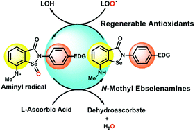 Graphical abstract: Catalytic and highly regenerable aminic organoselenium antioxidants with cytoprotective effects