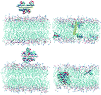 Graphical abstract: Molecular dynamics simulations of loading and unloading of drug molecule bortezomib on graphene nanosheets