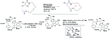 Graphical abstract: Treasures old and new: what we can learn regarding the macrocyclic problem from past and present efforts in natural product total synthesis