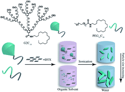 Graphical abstract: The influence of nanocarrier architectures on antitumor efficacy of docetaxel nanoparticles