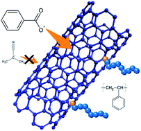 Graphical abstract: Radical scavenging activity of carbon nanotubes: toward appropriate selection of a radical initiator