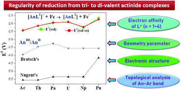 Graphical abstract: Redox and structural properties of accessible actinide(ii) metallocalixarenes (Ac to Pu): a relativistic DFT study