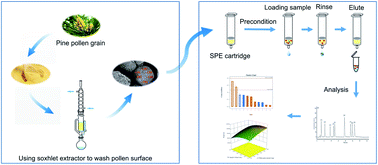 Graphical abstract: Pollen grains as a low-cost, green, alternative sorbent for hydrophilic solid-phase extraction