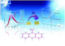 Graphical abstract: Light actuated stable radicals of the 9-anthracene carboxylic acid for designing new photochromic complexes