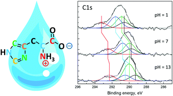 Graphical abstract: Local electronic structure of histidine in aqueous solution