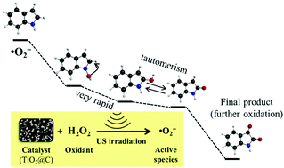 Graphical abstract: How neutral nitrogen-containing compounds are oxidized in oxidative-denitrogenation of liquid fuel with TiO2@carbon