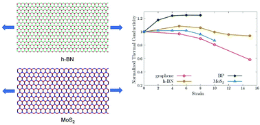 Graphical abstract: The disparate effect of strain on thermal conductivity of 2-D materials