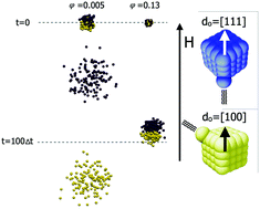 Graphical abstract: Flux and separation of magneto-active superballs in applied fields