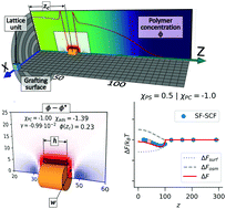 Graphical abstract: Colloidal particles interacting with a polymer brush: a self-consistent field theory