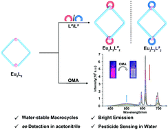 Graphical abstract: Water-stable lanthanide–organic macrocycles from a 1,2,4-triazole-based chelate for enantiomeric excess detection and pesticide sensing