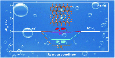 Graphical abstract: AlP-regulated phosphorus vacancies over Ni–P compounds promoting efficient and durable hydrogen generation in acidic media