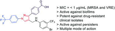 Graphical abstract: Design, synthesis, and antibacterial activity of N-(trifluoromethyl)phenyl substituted pyrazole derivatives