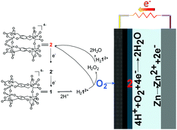 Graphical abstract: Four electron selective O2 reduction by a tetranuclear vanadium(IV/V)/hydroquinonate catalyst: application in the operation of Zn–air batteries