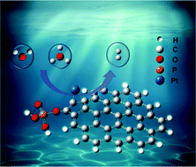 Graphical abstract: Active P species in P-doped graphite carriers improving the electrocatalytic performance of supported Pt towards the hydrogen evolution reaction