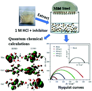 Graphical abstract: Adlay seed hull polysaccharide as a green corrosion inhibitor for mild steel in acid solution: surface analyses and theoretical calculations