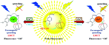 Graphical abstract: A veratraldehyde-appended organosilicon probe and its hybrid silica nanoparticles as a dual chemosensor for colorimetric and fluorimetric detection of Cu2+ and Fe3+ ions