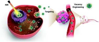 Graphical abstract: Boosting the photothermal performance of vacancy-rich MoSe2−x nanoflowers for photoacoustic imaging guided tumor chemo-photothermal therapy