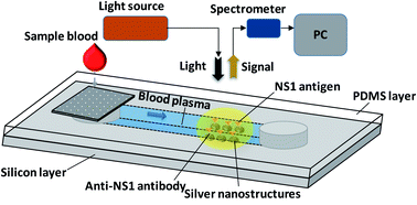 Graphical abstract: LSPR based on-chip detection of dengue NS1 antigen in whole blood