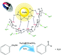 Graphical abstract: La(OH)3 nanoparticles immobilized on Fe3O4@chitosan composites as novel magnetic nanocatalysts for sonochemical oxidation of benzyl alcohol to benzaldehyde