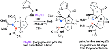 Graphical abstract: Efficient construction of the hexacyclic ring core of palau'amine: the pKa concept for proceeding with unfavorable equilibrium reactions