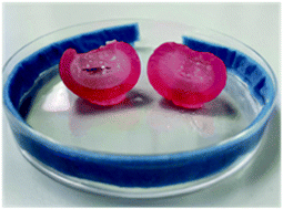 Graphical abstract: Electrofabrication of large volume di- and tripeptide hydrogels via hydroquinone oxidation