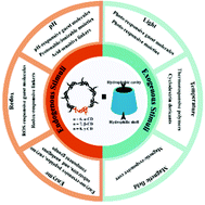 Graphical abstract: Stimuli-responsive cyclodextrin-based supramolecular assemblies as drug carriers
