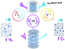 Graphical abstract: Electric field, temperature and light-triggered triple dynamic circularly polarized luminescence switching in fluorescent cholesteric liquid crystals with a large dissymmetry factor