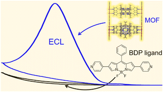Graphical abstract: BODIPY-based metal–organic frameworks as efficient electrochemiluminescence emitters for telomerase detection