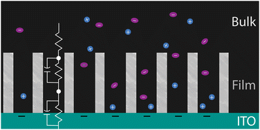 Graphical abstract: Charge transfer and electrical double layer of an amphiphilic protic ionic liquid in bulk and when confined in nanochannels