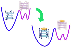 Graphical abstract: Role of fast dynamics in the complexation of G-quadruplexes with small molecules