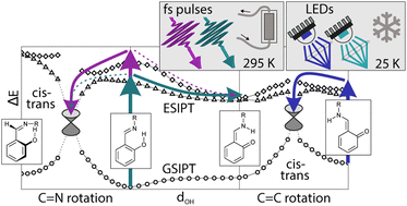 Graphical abstract: Wavelength-dependent photochemistry of a salicylimine derivative studied with cryogenic and ultrafast spectroscopy approaches