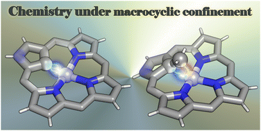 Graphical abstract: Organometallic chemistry confined within a porphyrin-like framework