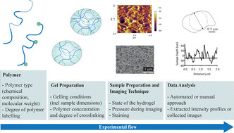 Graphical abstract: Evaluation of techniques used for visualisation of hydrogel morphology and determination of pore size distributions