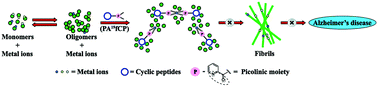 Graphical abstract: Copper chelating cyclic peptidomimetic inhibits Aβ fibrillogenesis
