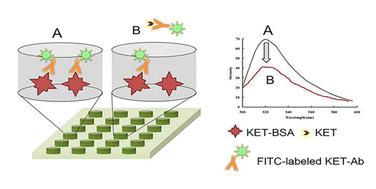 Graphical abstract: Competitive fluorescence immunoassay for the rapid qualitative screening and accurate quantitative analysis of ketamine