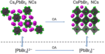 Graphical abstract: Manipulating the formation of cesium lead bromide nanocrystals via oleic acid