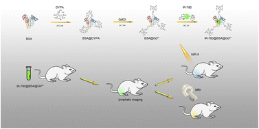 Graphical abstract: Albumin-based nanoparticle for dual-modality imaging of the lymphatic system