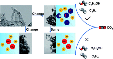 Graphical abstract: The effect of specific adsorption of halide ions on electrochemical CO2 reduction