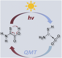 Graphical abstract: Equilibrating parent aminomercaptocarbene and CO2 with 2-amino-2-thioxoacetic acid via heavy-atom quantum tunneling