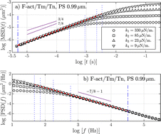 Graphical abstract: Micro-mechanical response and power-law exponents from the longitudinal fluctuations of F-actin solutions