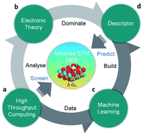 Graphical abstract: A descriptor for the design of 2D MXene hydrogen evolution reaction electrocatalysts