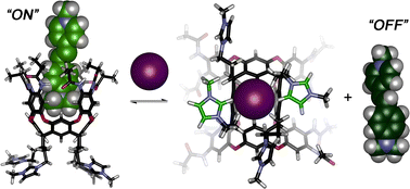 Graphical abstract: Selective anion sensing in high salt water via a remote indicator displacement assay