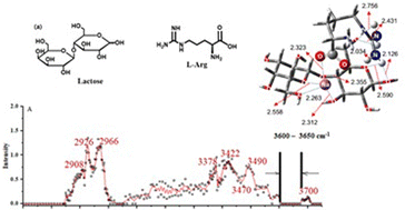 Graphical abstract: Distinguishing gas phase lactose and lactulose complexed with sodiated l-arginine by IRMPD spectroscopy and DFT calculations
