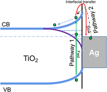Graphical abstract: Kinetic pathways of sub-bandgap induced electron transfer in Ag/TiO2 and the effect on isopropanol dehydrogenation under gaseous conditions
